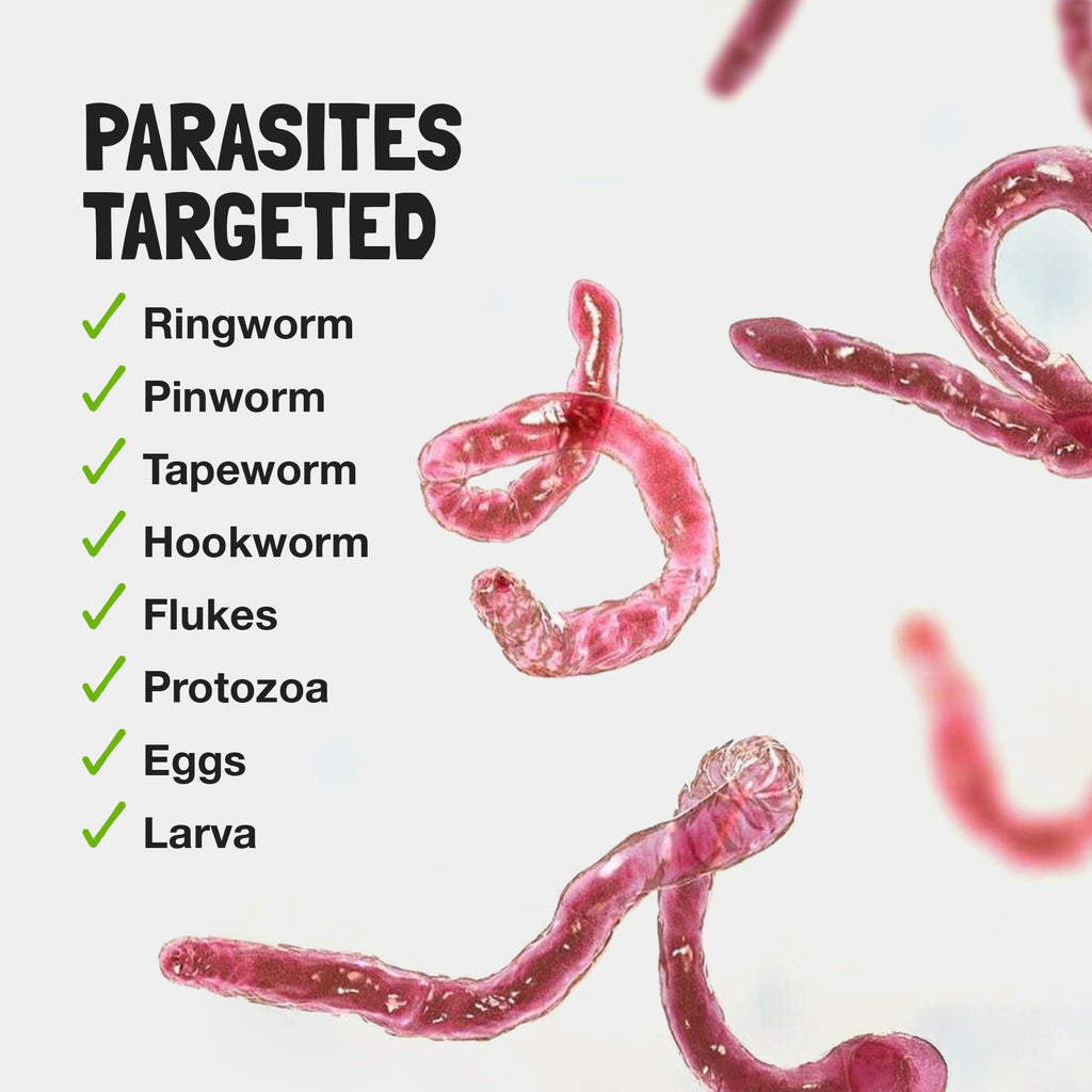Children's Parasite Formula