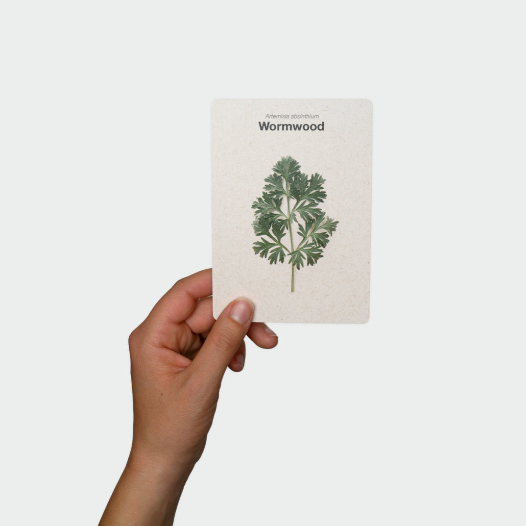 FOOD OVER DRUGS: The Card Deck